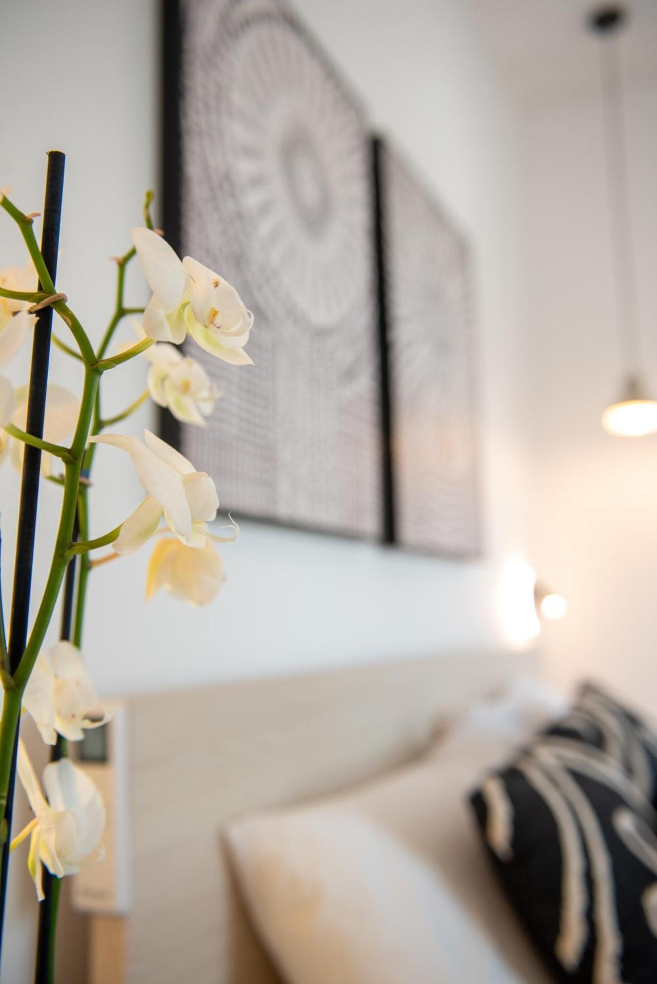 Tiffanys Villas Mykonos Town Екстериор снимка